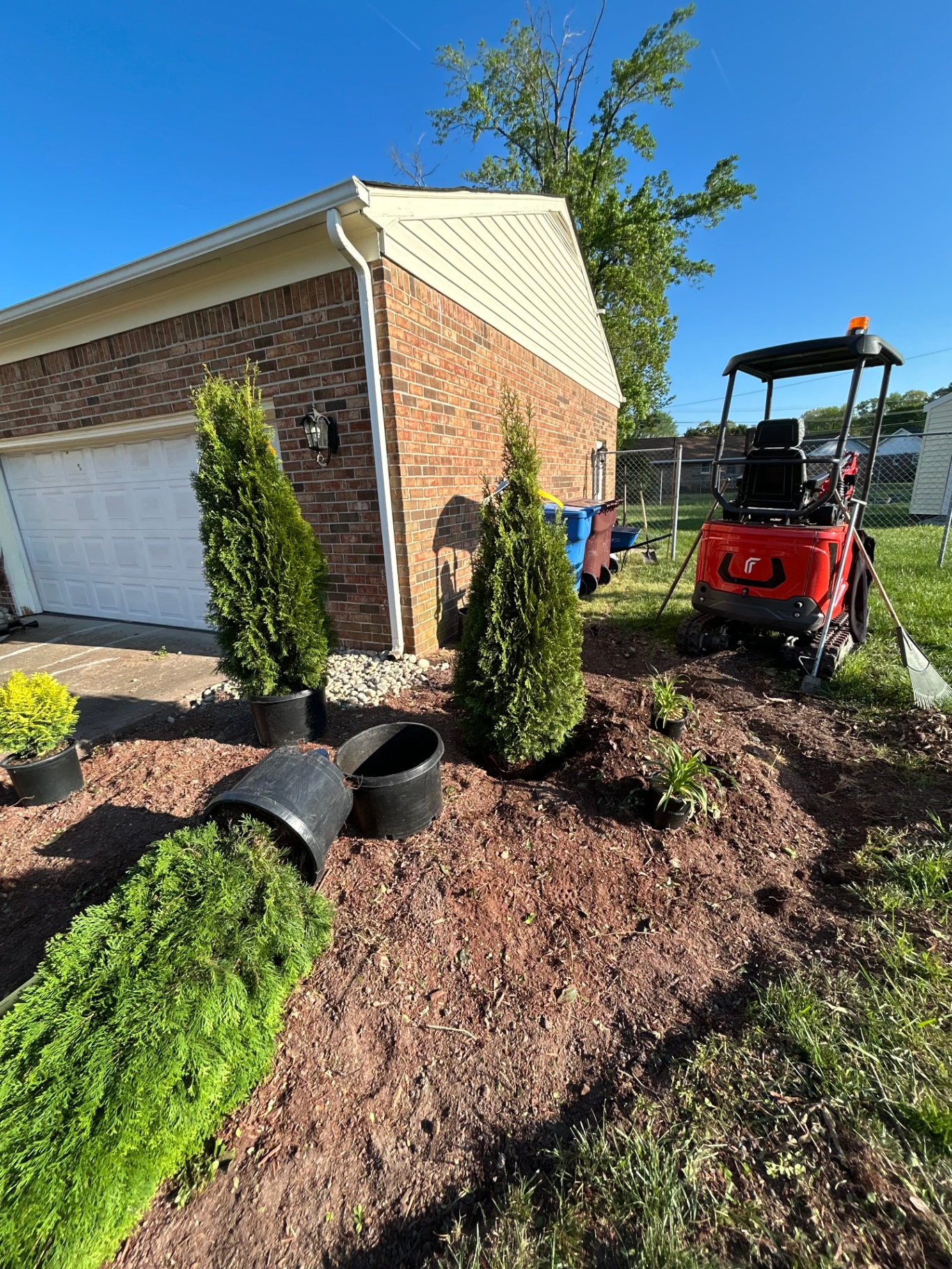 New evergreen plantings and machine access during a landscaping project